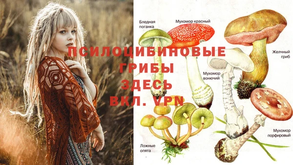 круглые Алексеевка